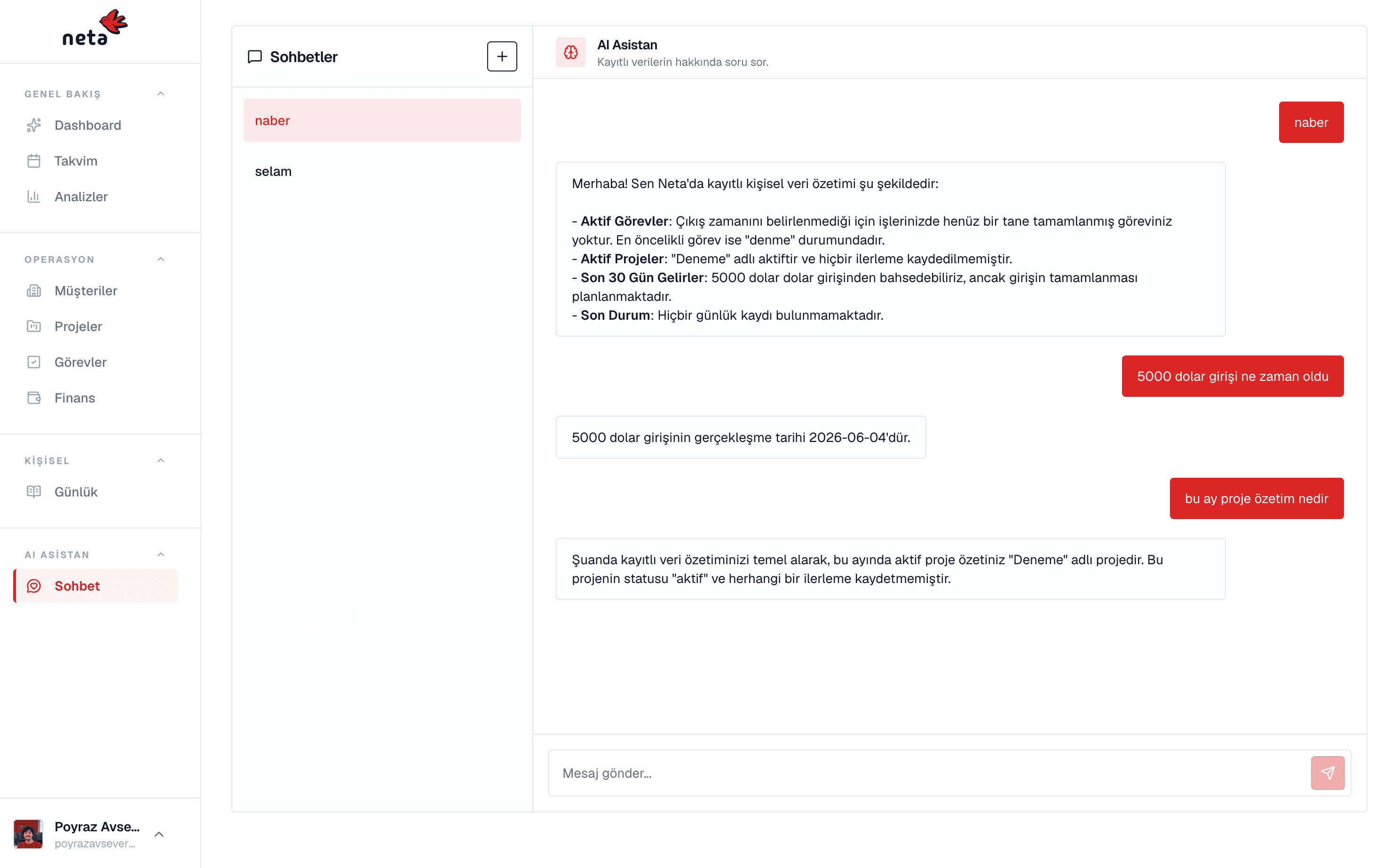 Neta AI assistant screenshot