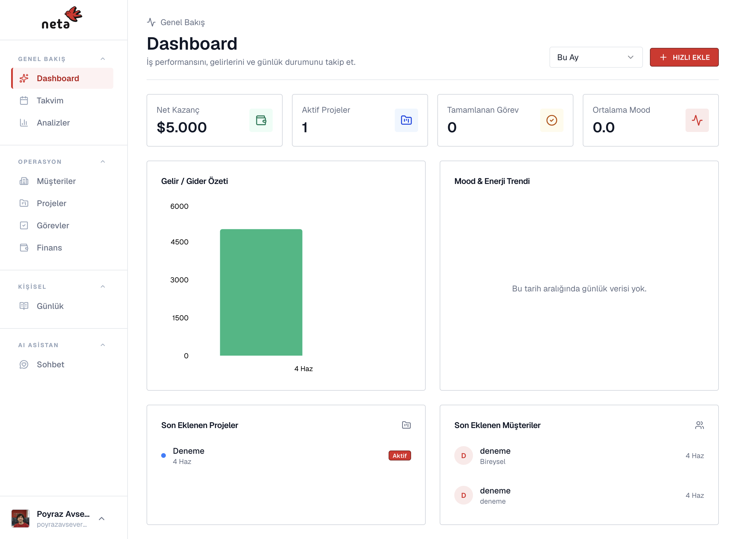 Neta müşteri paneli dashboard önizlemesi